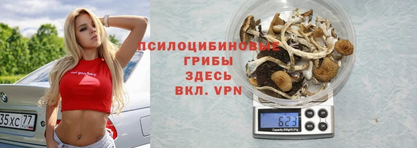 прущие грибы Магас