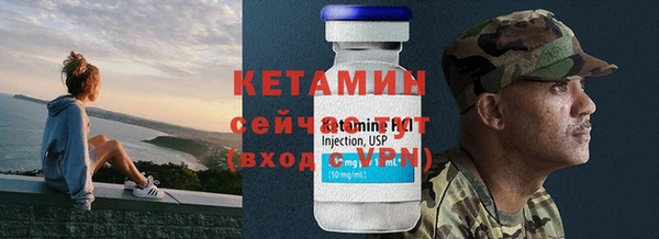 прущие грибы Магас