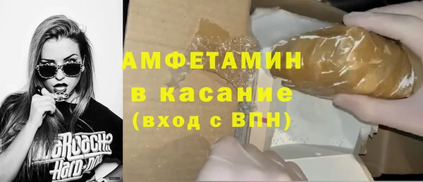прущие грибы Магас