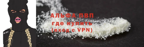 прущие грибы Магас
