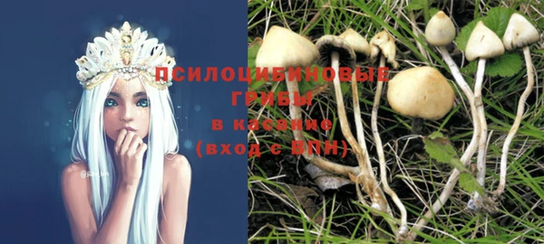 каннабис Майский
