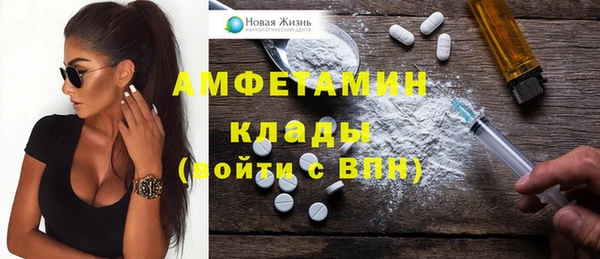 прущие грибы Магас