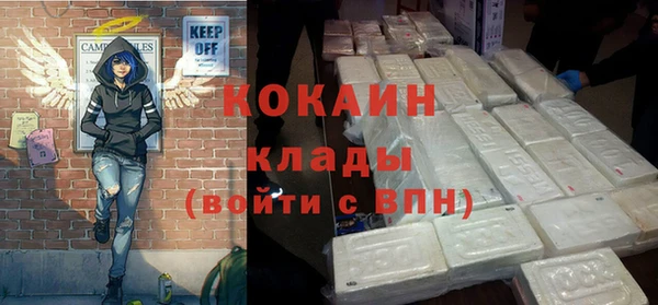 прущие грибы Магас