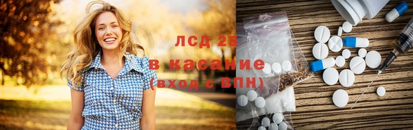 прущие грибы Магас
