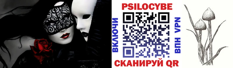 Псилоцибиновые грибы Psilocybine cubensis  Люберцы 