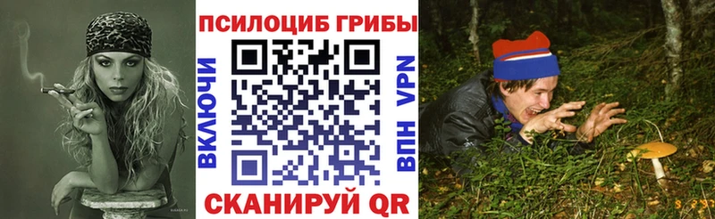 Галлюциногенные грибы Psilocybe Люберцы