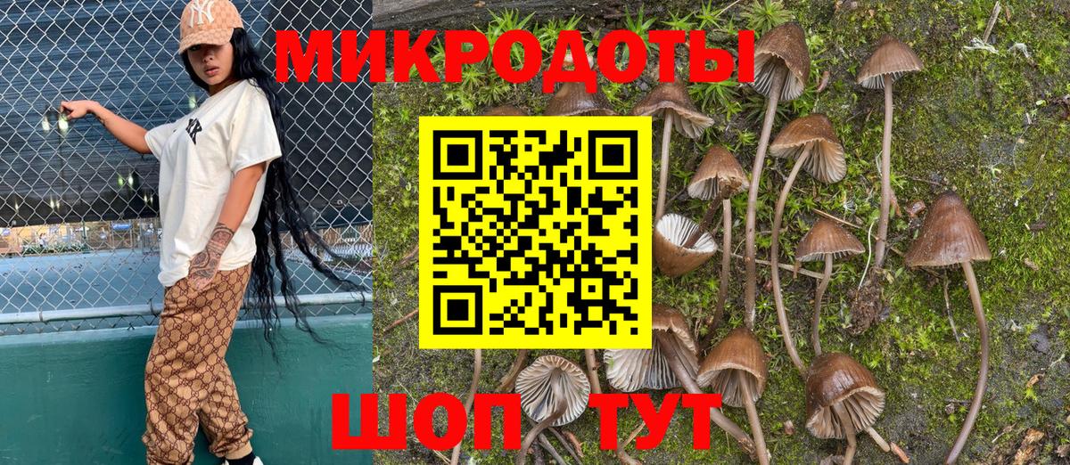 Псилоцибиновые грибы Magic Shrooms  Галлюциногенные грибы ЛСД  Люберцы  Вход с VPN 