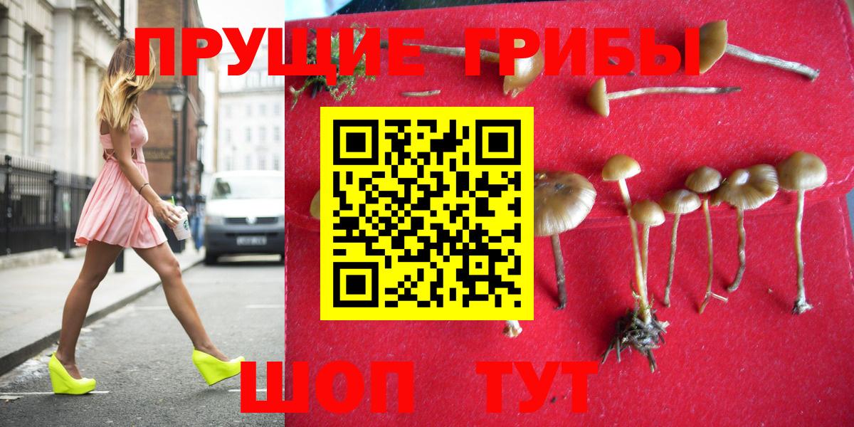 Псилоцибиновые грибы мухоморы Люберцы