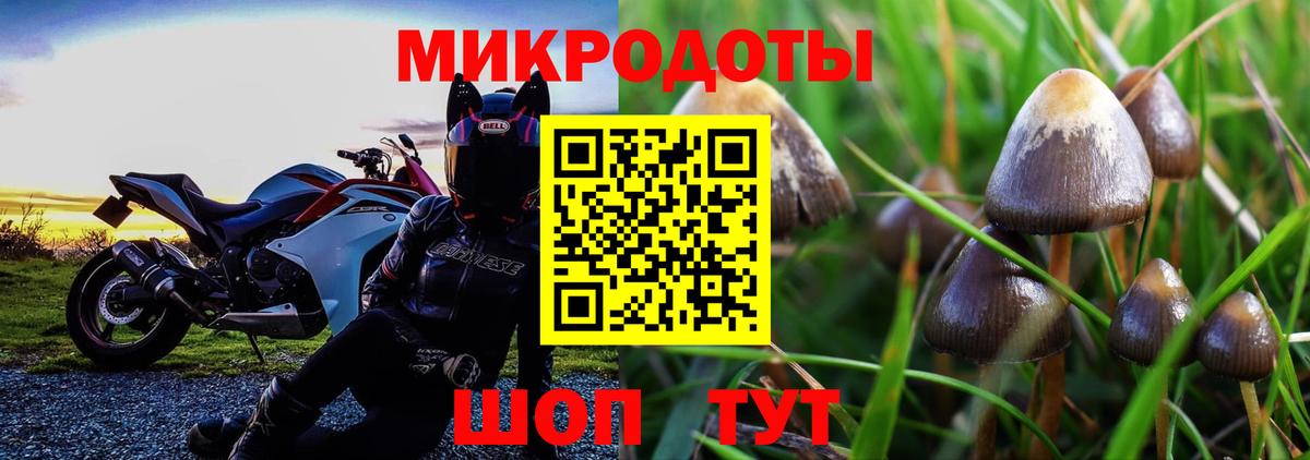 Галлюциногенные грибы GOLDEN TEACHER  Галлюциногенные грибы прущие грибы  Люберцы 